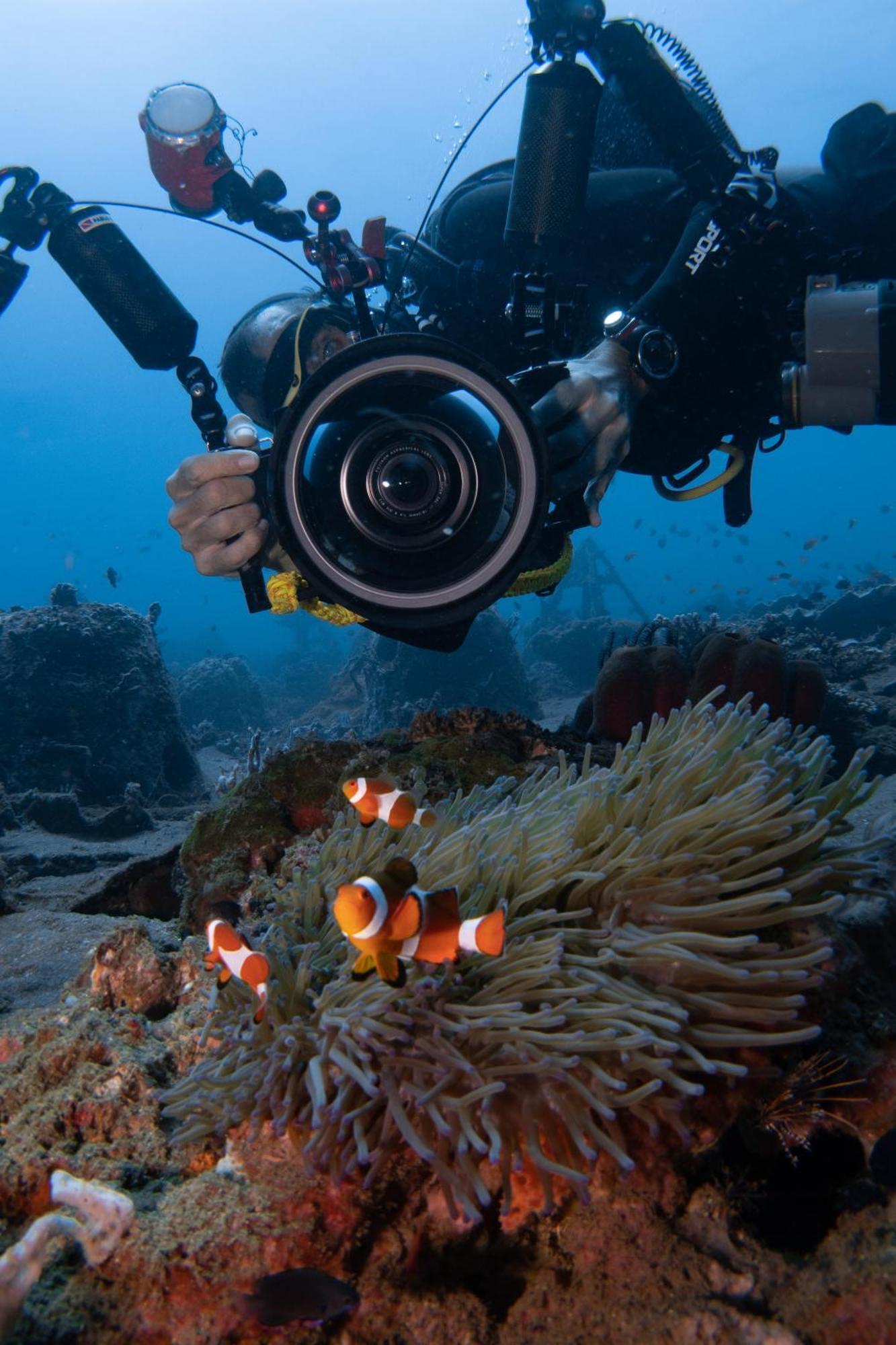Vitaminsea Room เดาอิน ภายนอก รูปภาพ